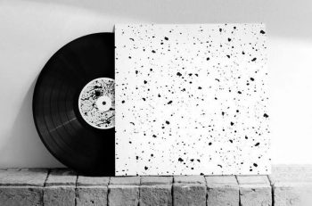 Vinyl plaat reinigen